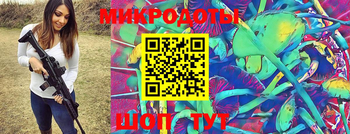 Галлюциногенные грибы Psilocybe Елизово